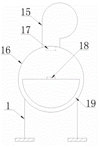 Automatic cleaning and drying device for fruits