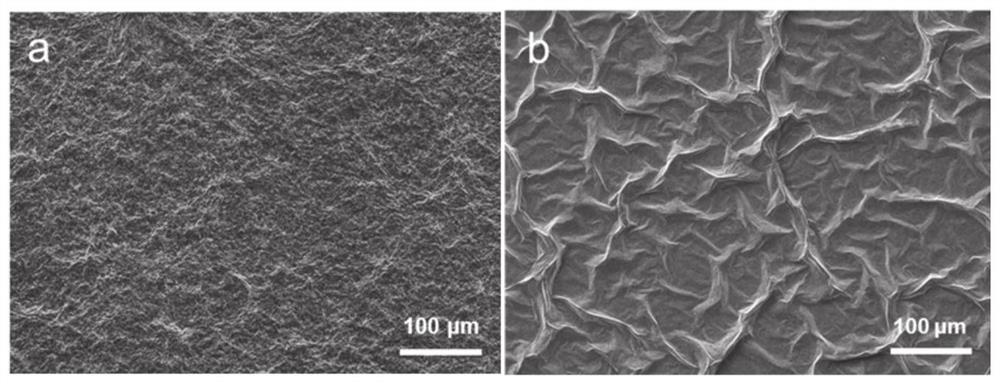 Self-assembled MXene/chitosan composite membrane as well as preparation method and application thereof