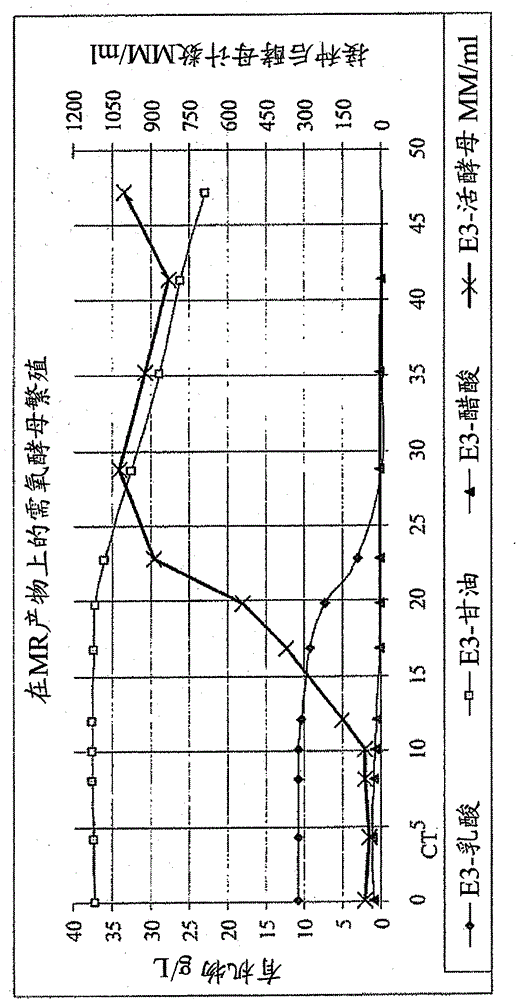 Use of ethanol plant by-products for yeast propagation