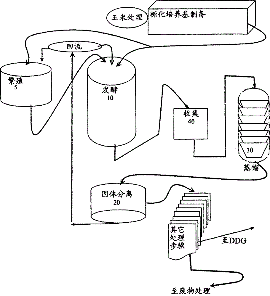 Use of ethanol plant by-products for yeast propagation