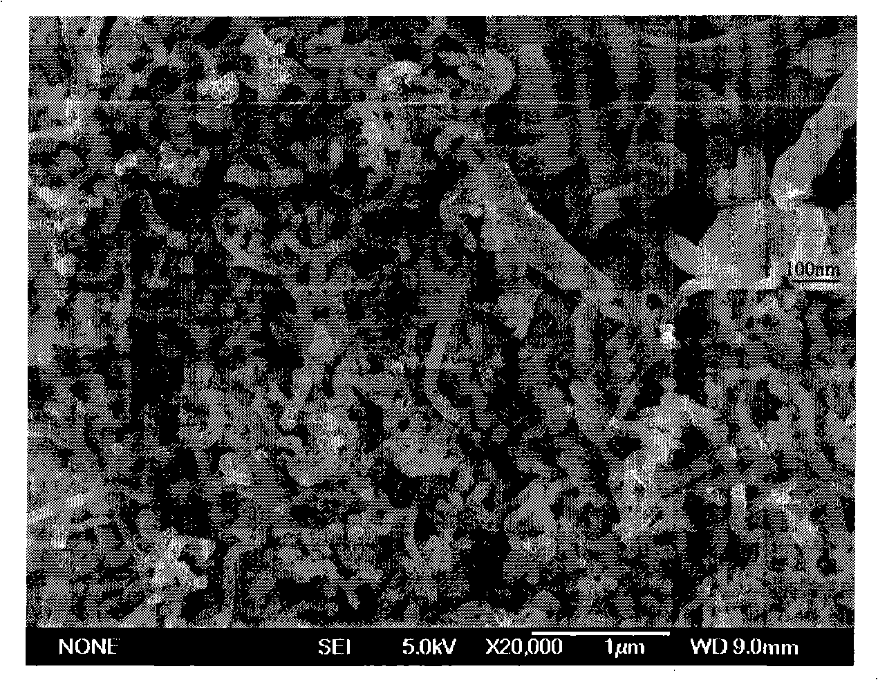 Method for synthesizing non-metal catalyst self-organizing growth carbon nano-tube with chemical vapor deposition