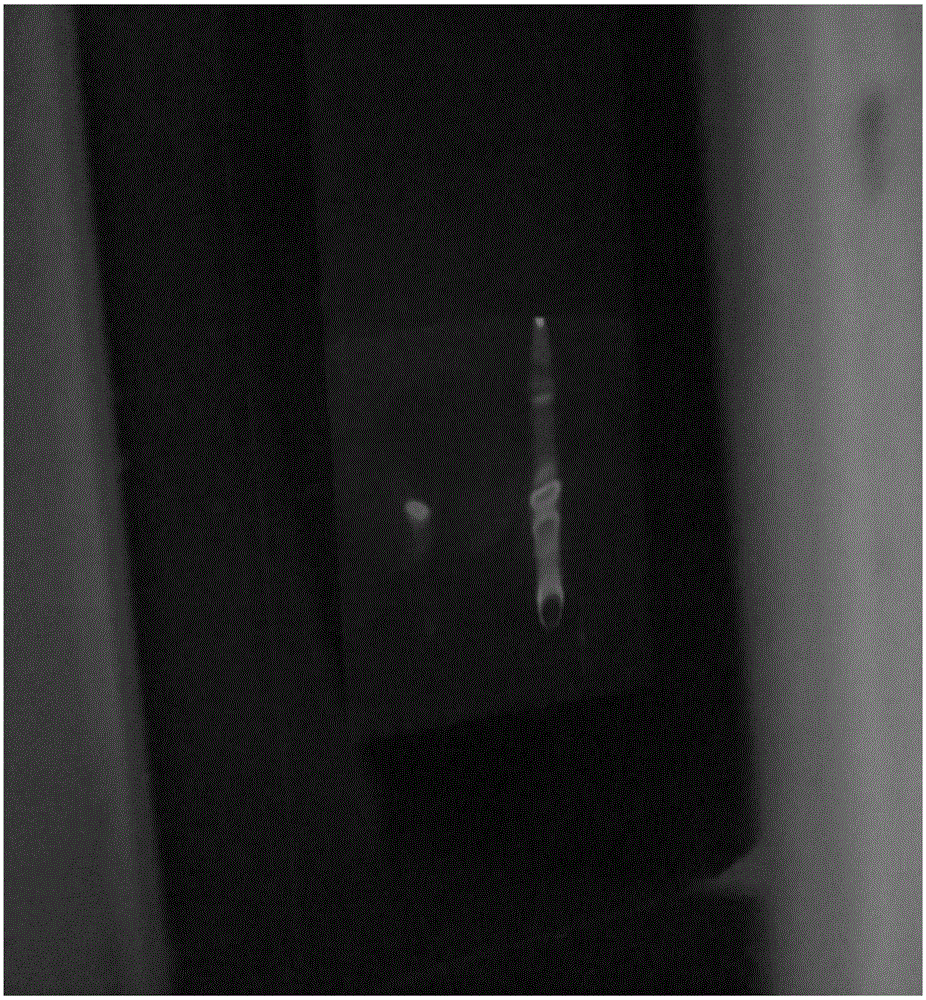 Method for extracting flavonoid compounds from sunset abelmoschus flowers