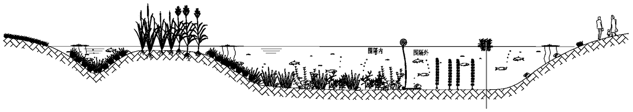 A method applied to the restoration of large deep-water lake ecosystems