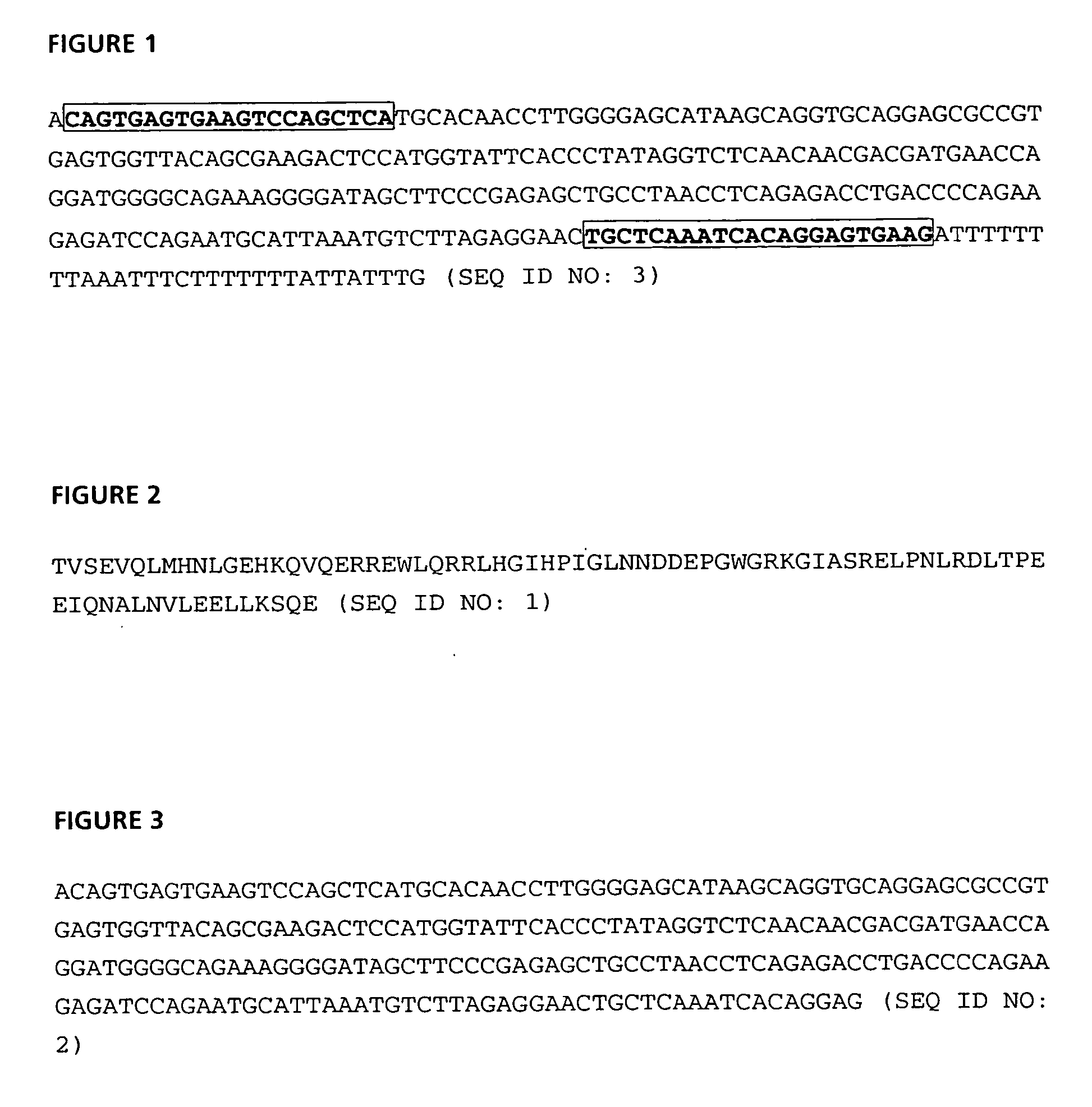 Parathyroid hormone-like polypeptides