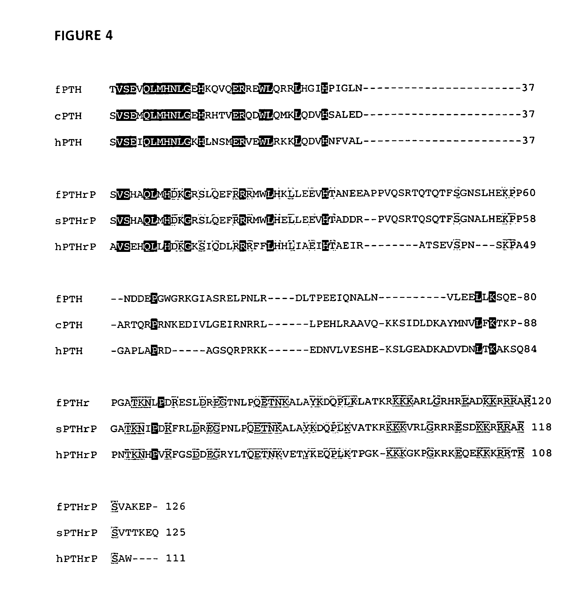 Parathyroid hormone-like polypeptides