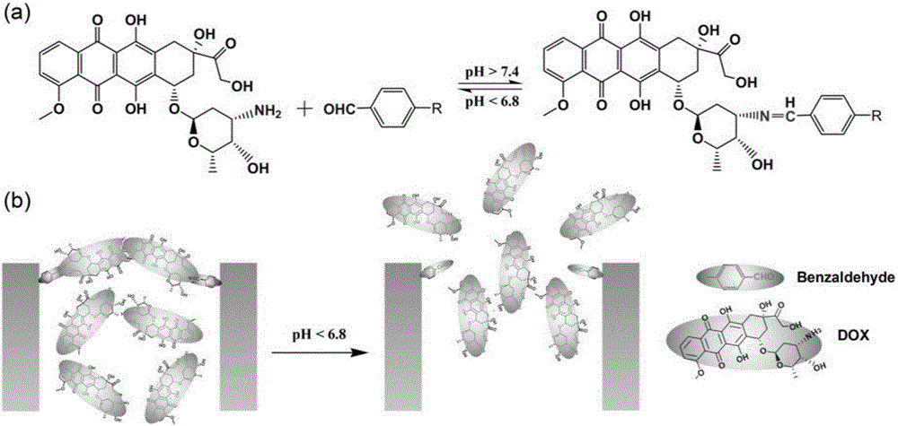 Preparation method of pH-sensitive drug-self-gating mesoporous nano antitumor carrier