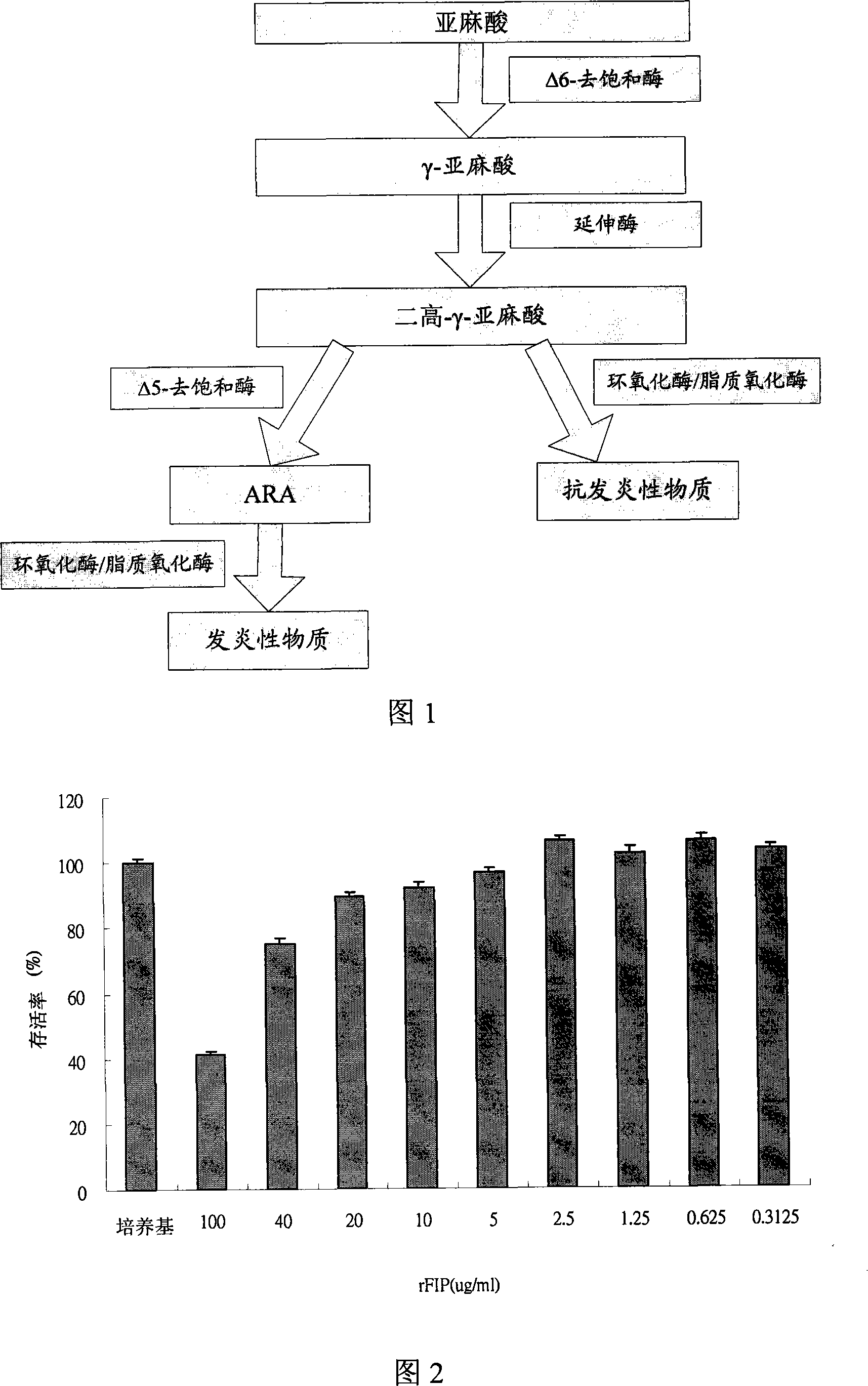 Application of fungal immunomodulatory protein for inhibiting delta 5-desaturated enzyme