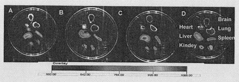 Benzamide analog mediated brain-targeting delivery system