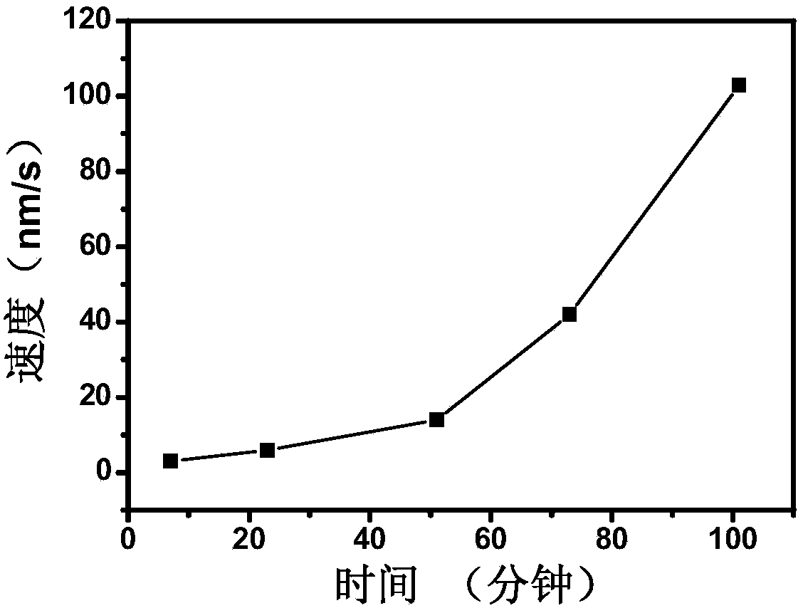 Self-powered microtubule-kinesin transport system and preparation method thereof