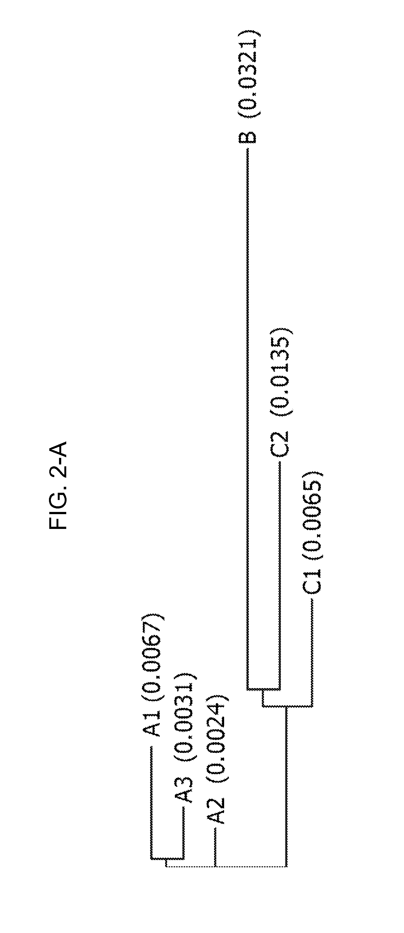 Brassica genomic assays