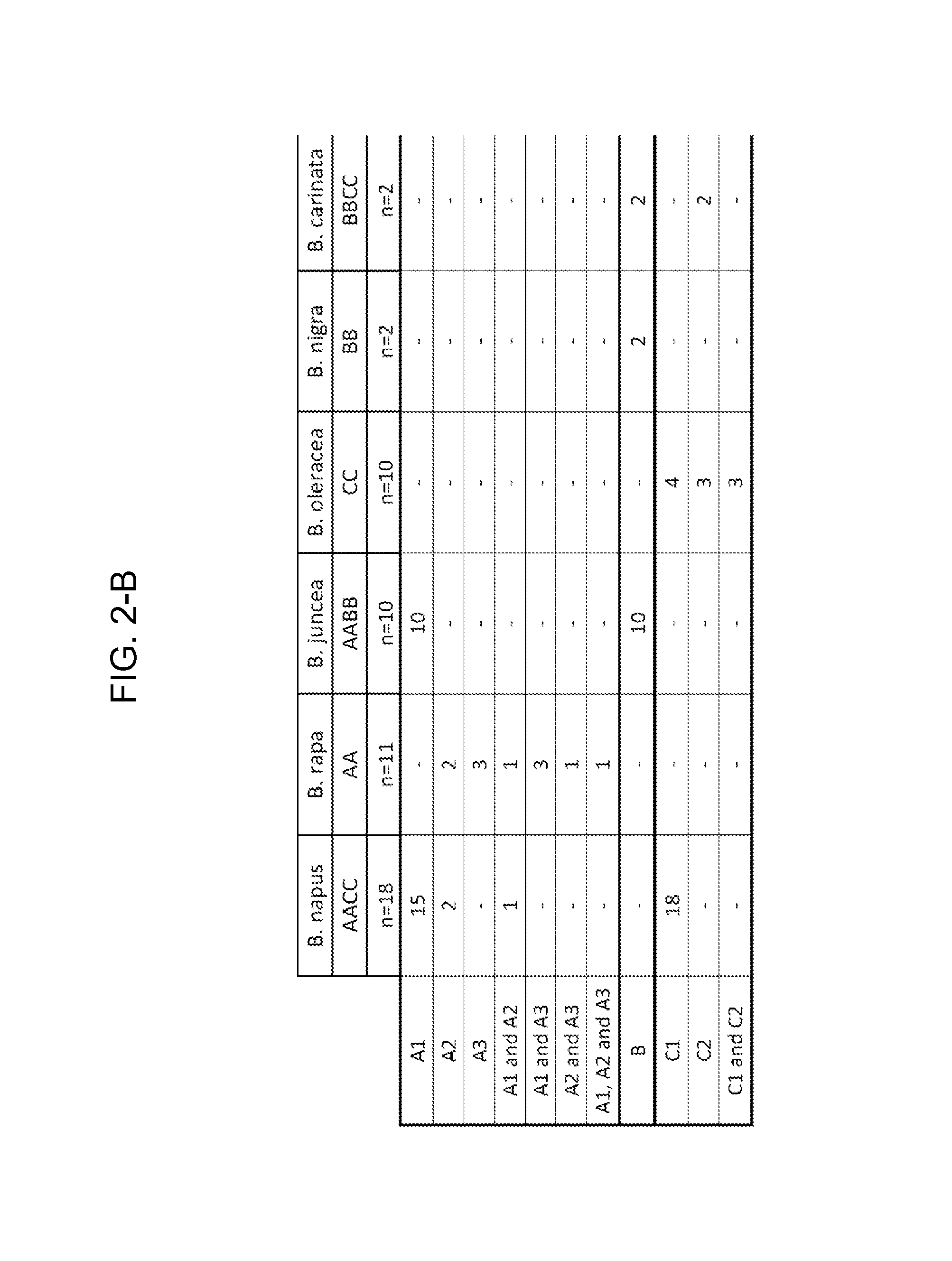 Brassica genomic assays