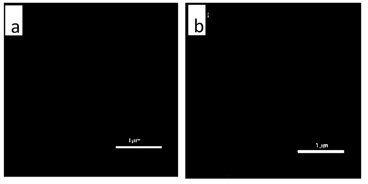 High-performance perovskite solar cell