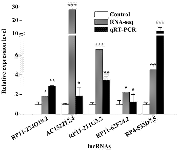 Identification method of competitive endogenous RNA (Ribonucleic Acid) network