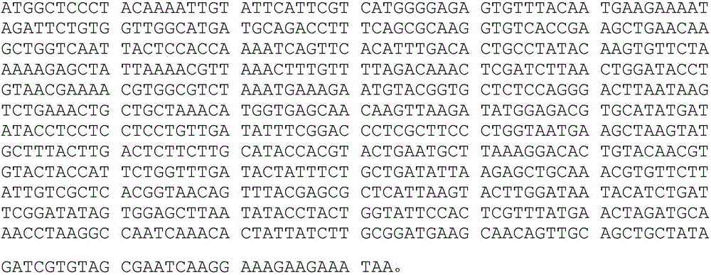 Monoclonal antibody and preparation method thereof