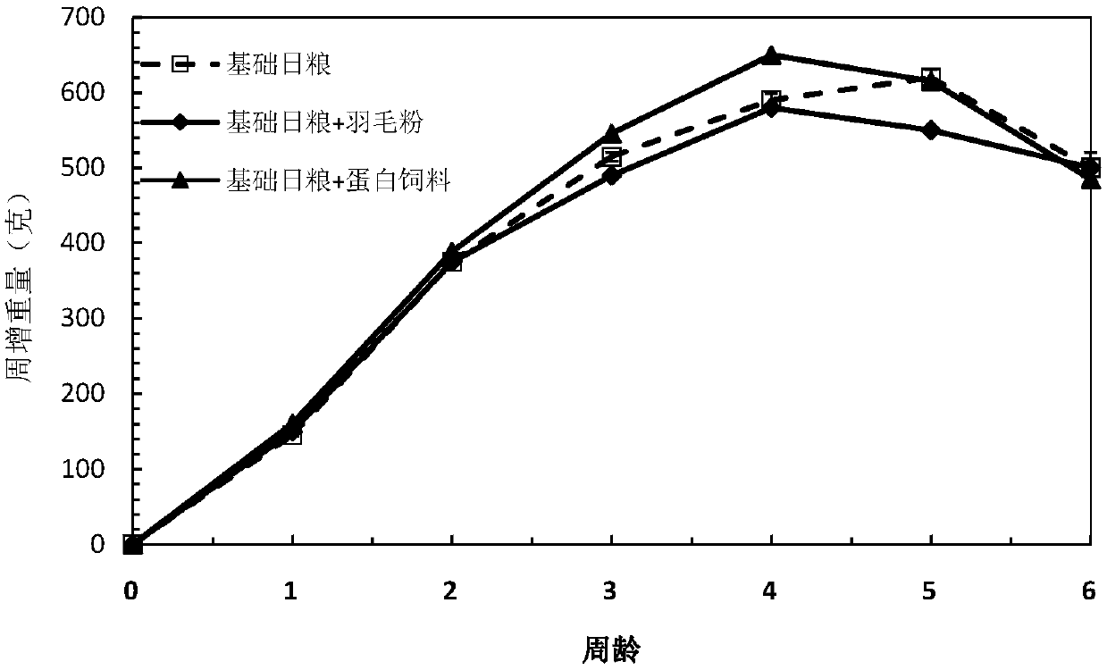 Amino acid polypeptide feed and preparation method thereof