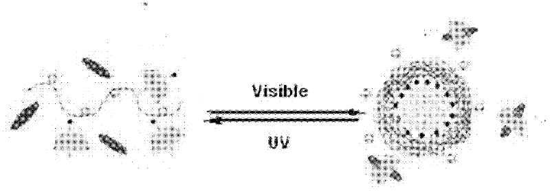 Photoresponsive polymer microsphere system and preparation method thereof