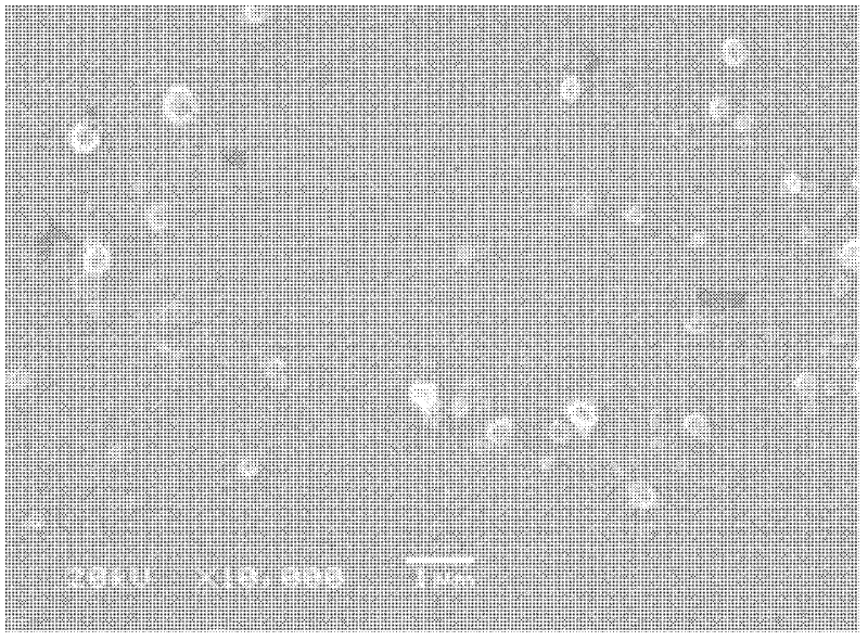 Photoresponsive polymer microsphere system and preparation method thereof