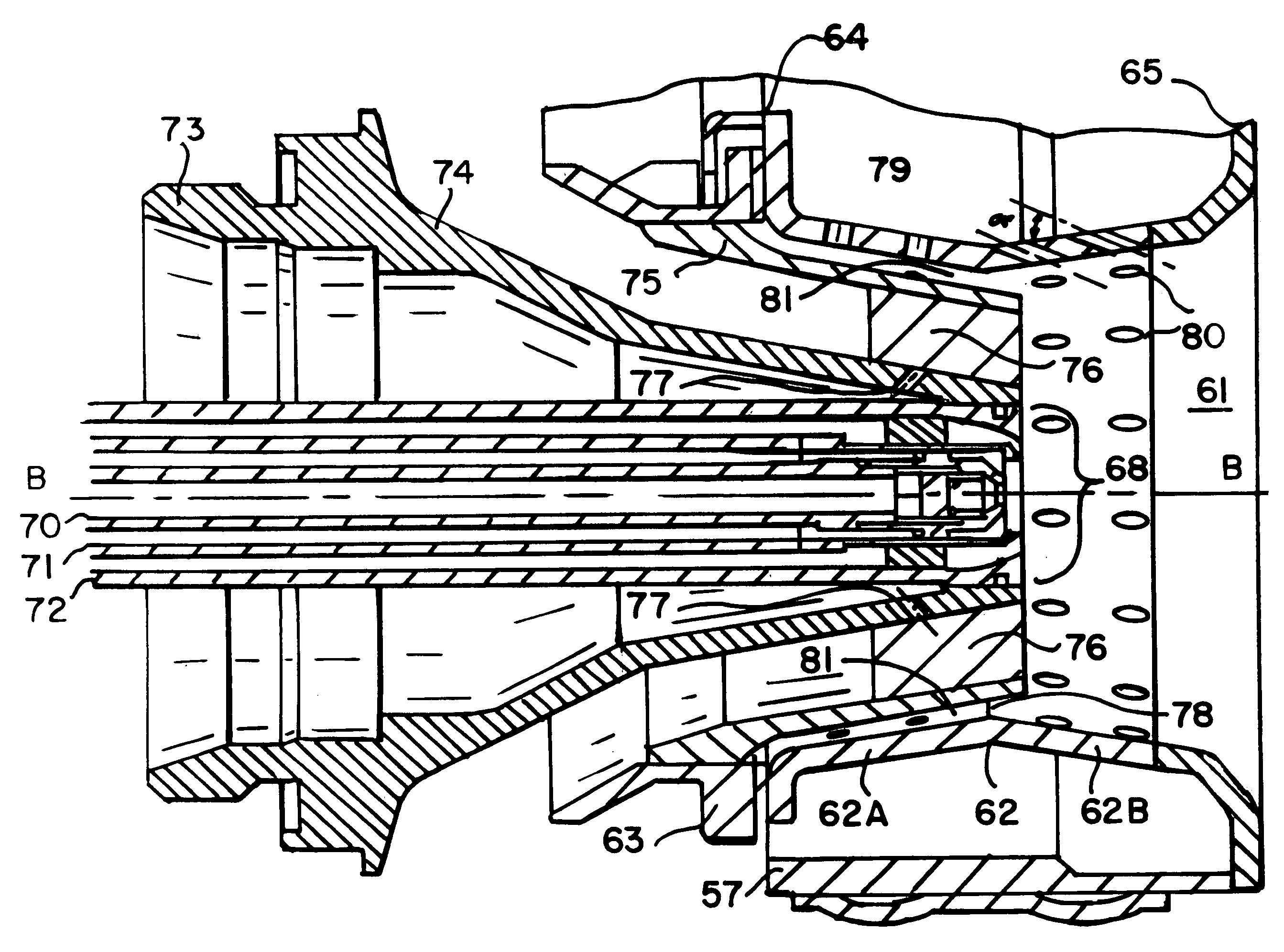 Primary fuel nozzle having dual fuel capability