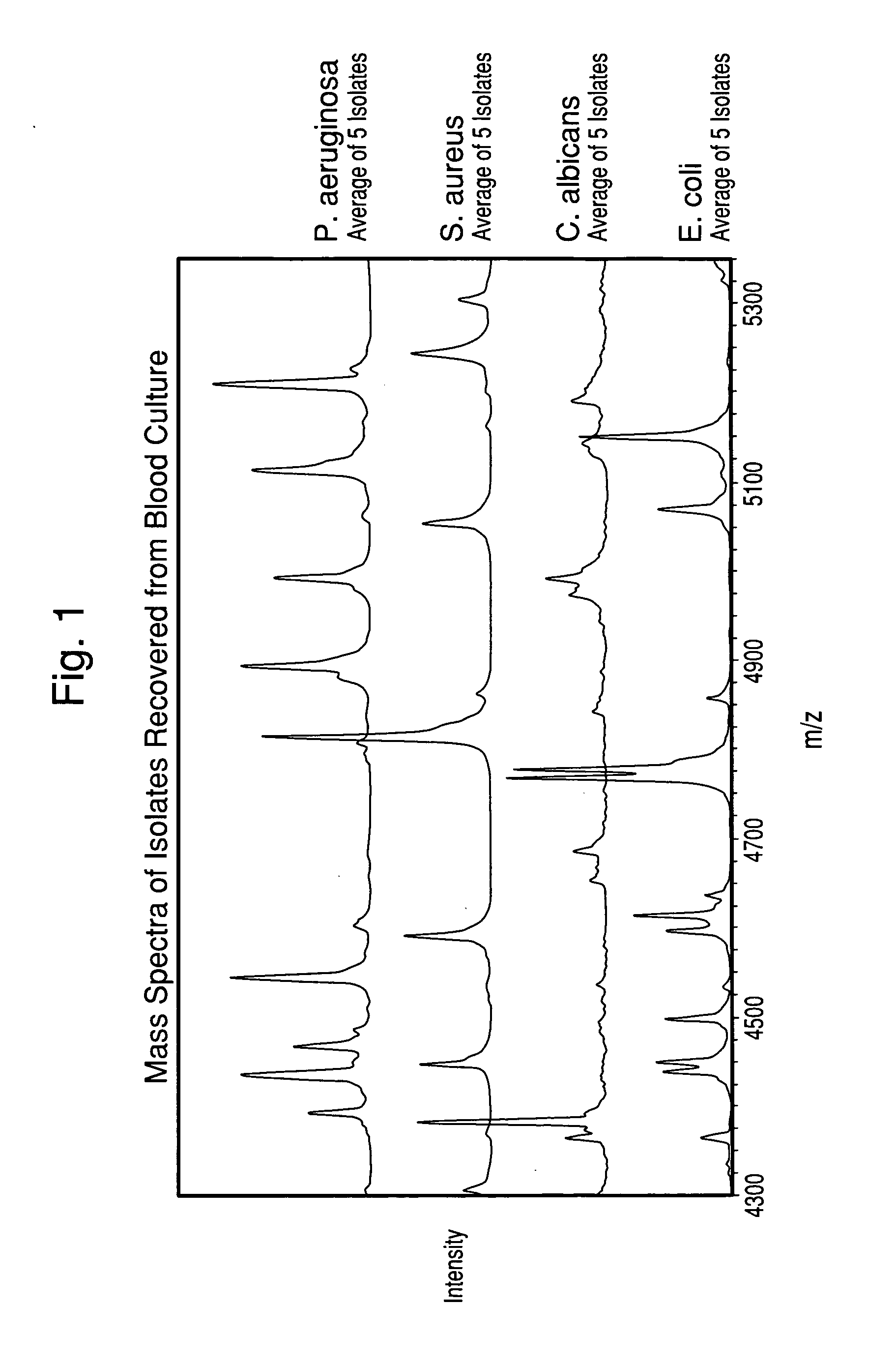 Method for separation, characterization and/or identification of microorganisms using mass spectrometry