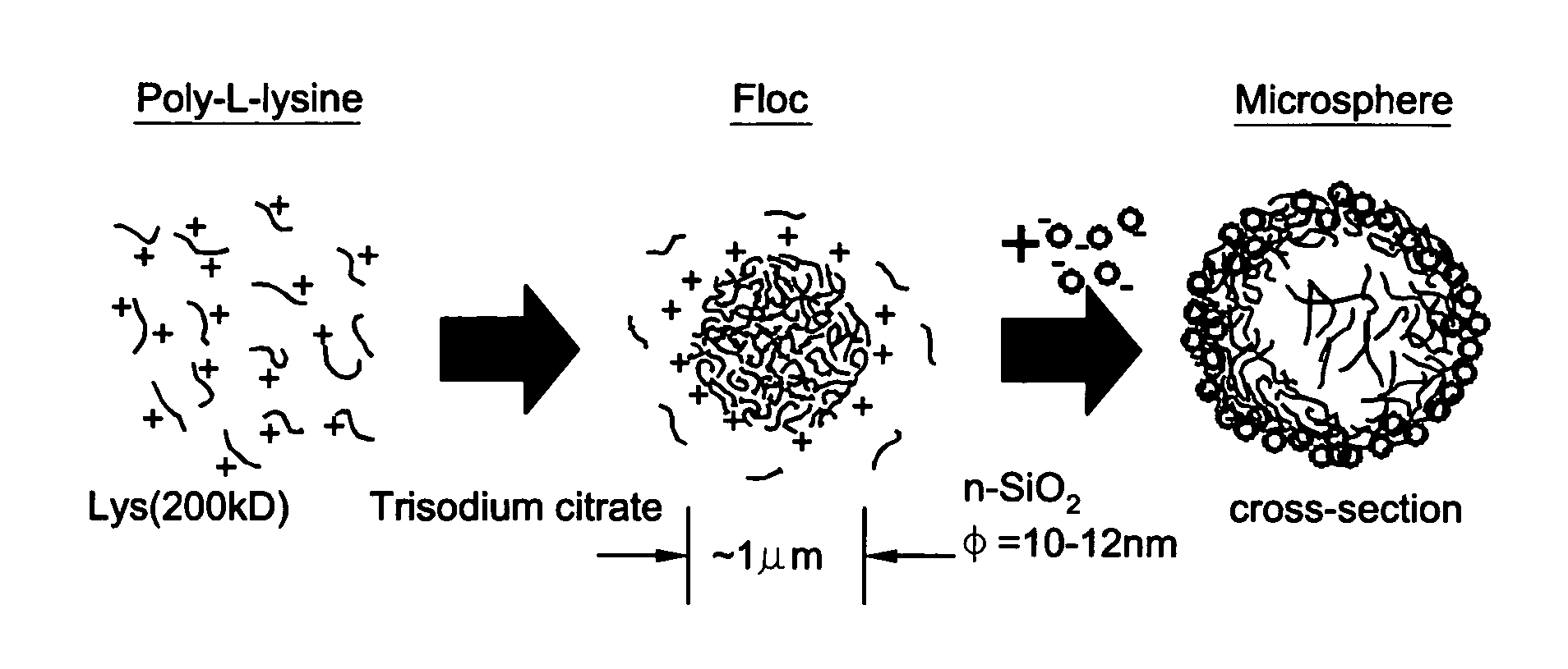 Method to fabricate microcapsules from polymers and charged nanoparticles