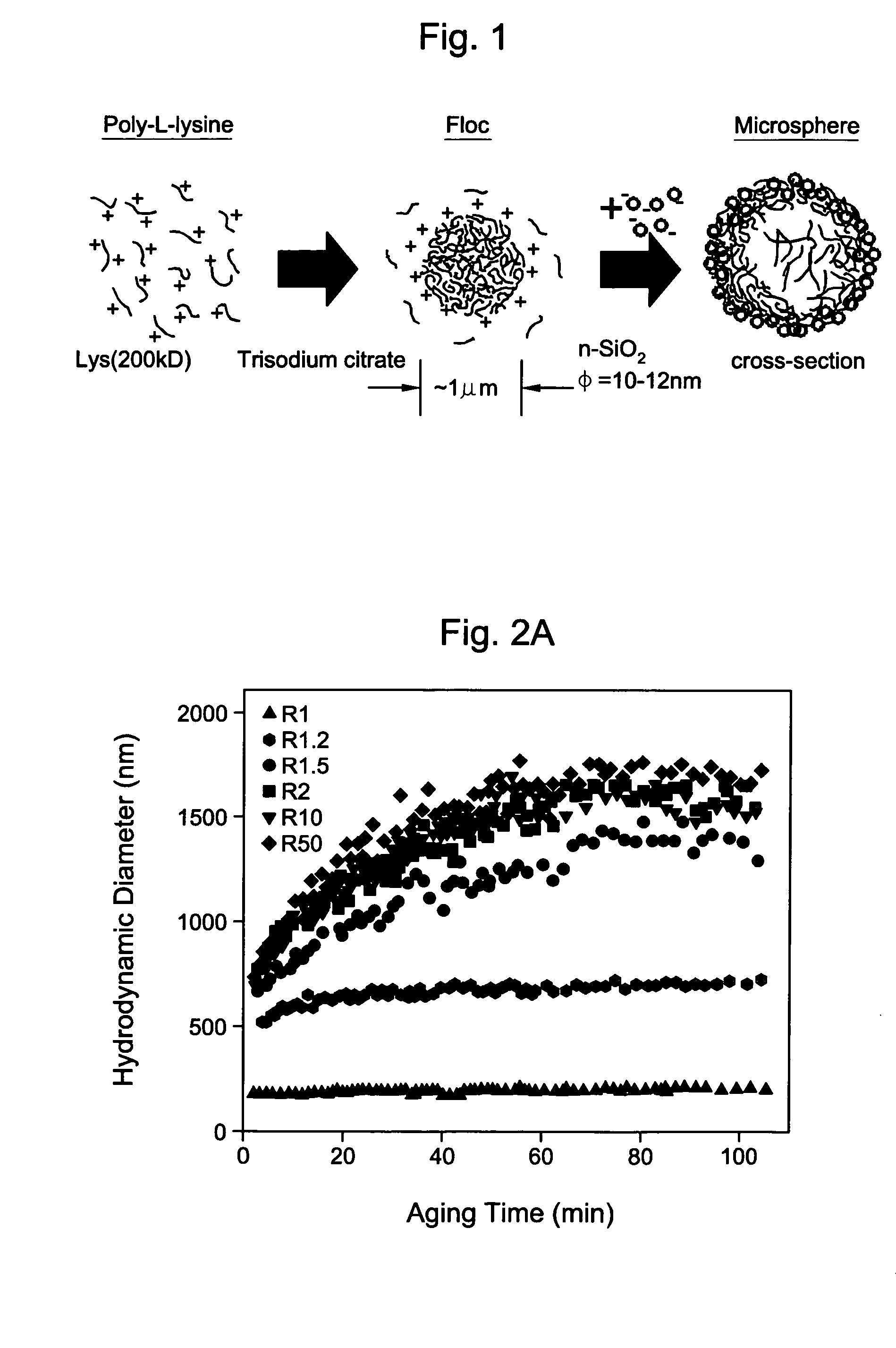 Method to fabricate microcapsules from polymers and charged nanoparticles