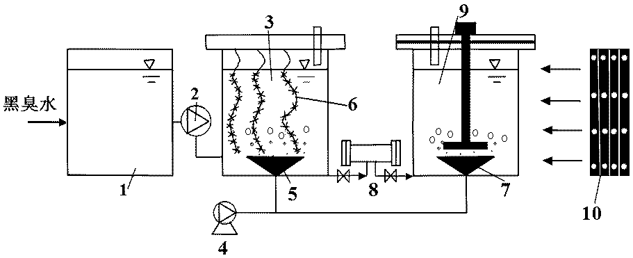 Method for treating black and odorous water through combination of indigenous microbial film and microalgae