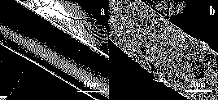 Method for treating black and odorous water through combination of indigenous microbial film and microalgae