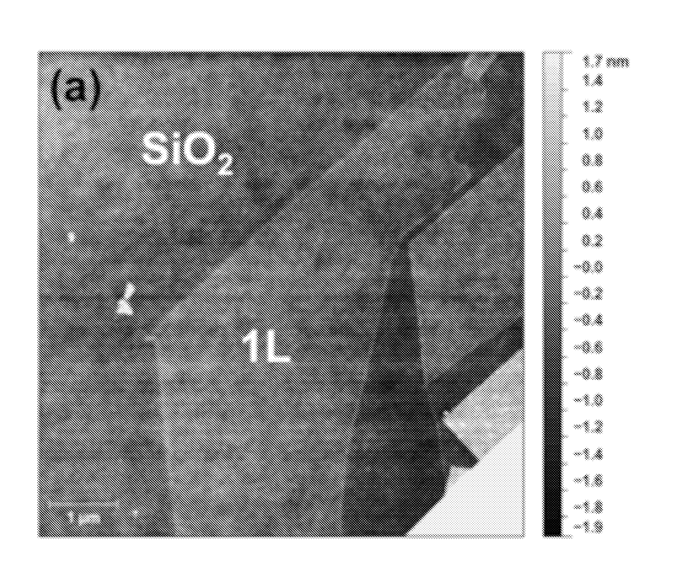 Functionalized Graphene-Pt composites for fuel cells and photoelectrochemical cells