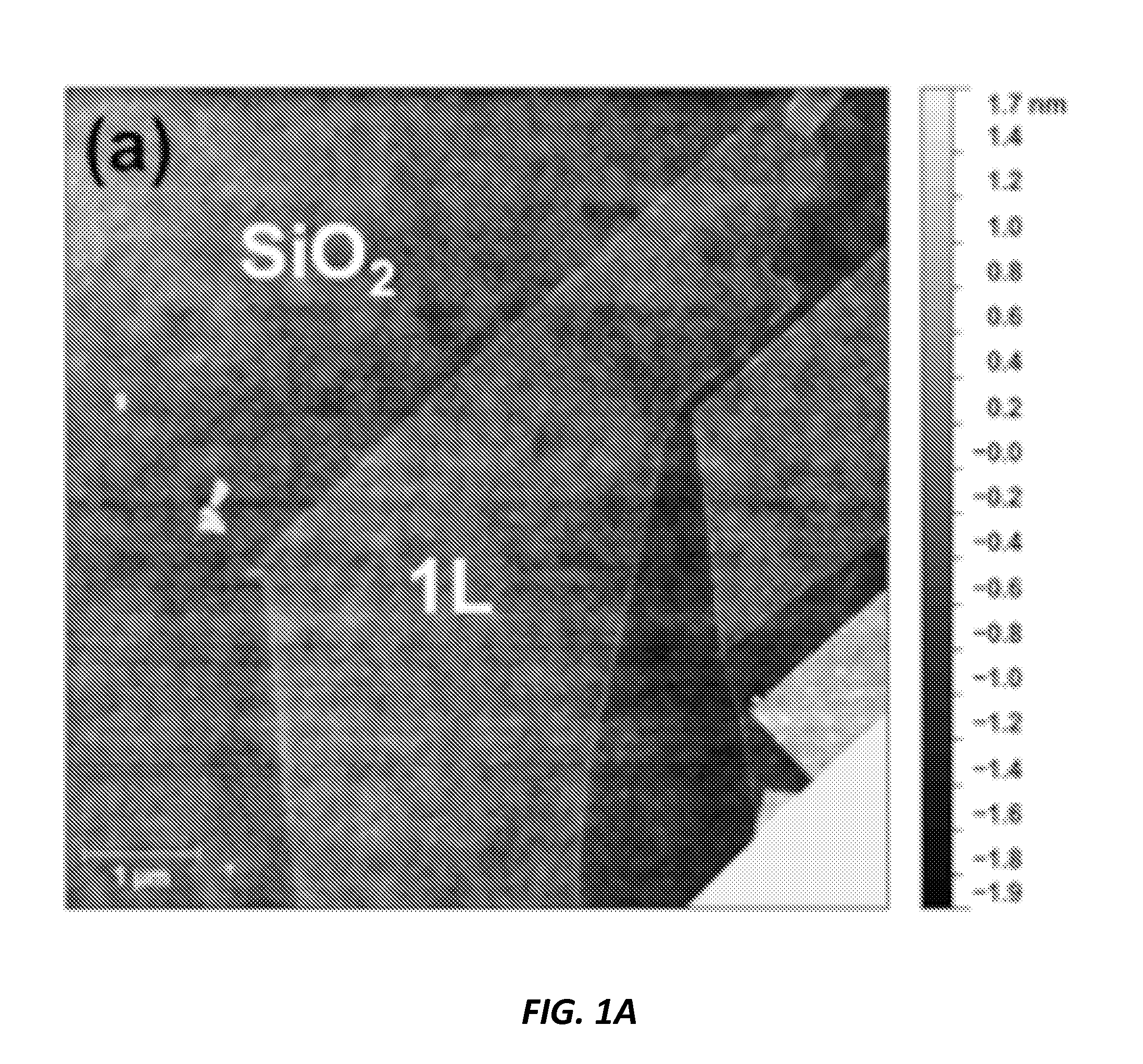 Functionalized Graphene-Pt composites for fuel cells and photoelectrochemical cells