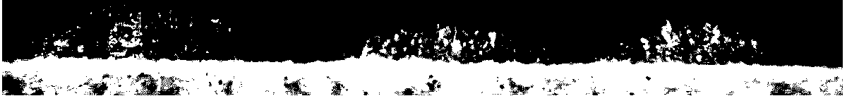 Ceramic tile with bulged particle effect and preparation method of ceramic tile