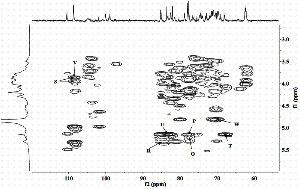 Method for extracting polysaccharide from lycium barbarum