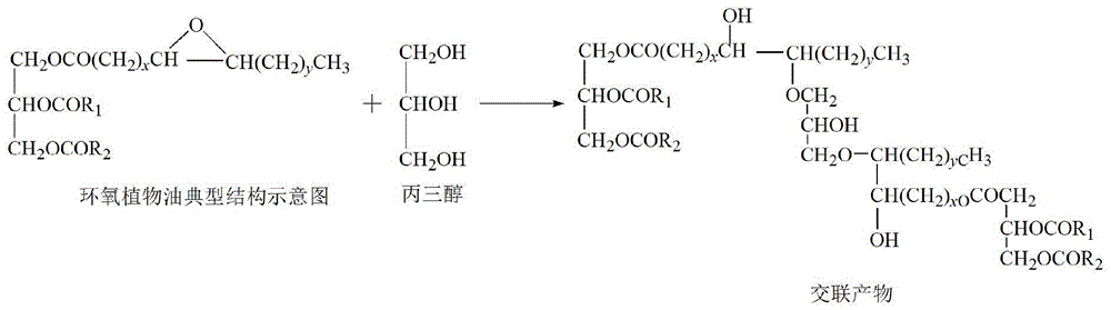 Vegetable oil polyalcohol as well as preparation method and application of vegetable oil polyalcohol