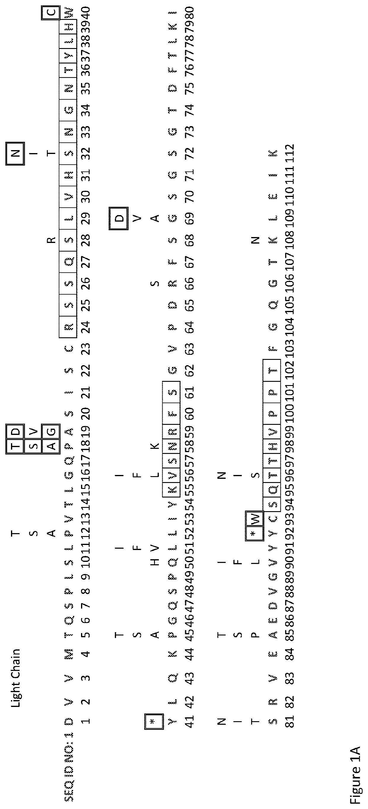 Antibody Library and Method