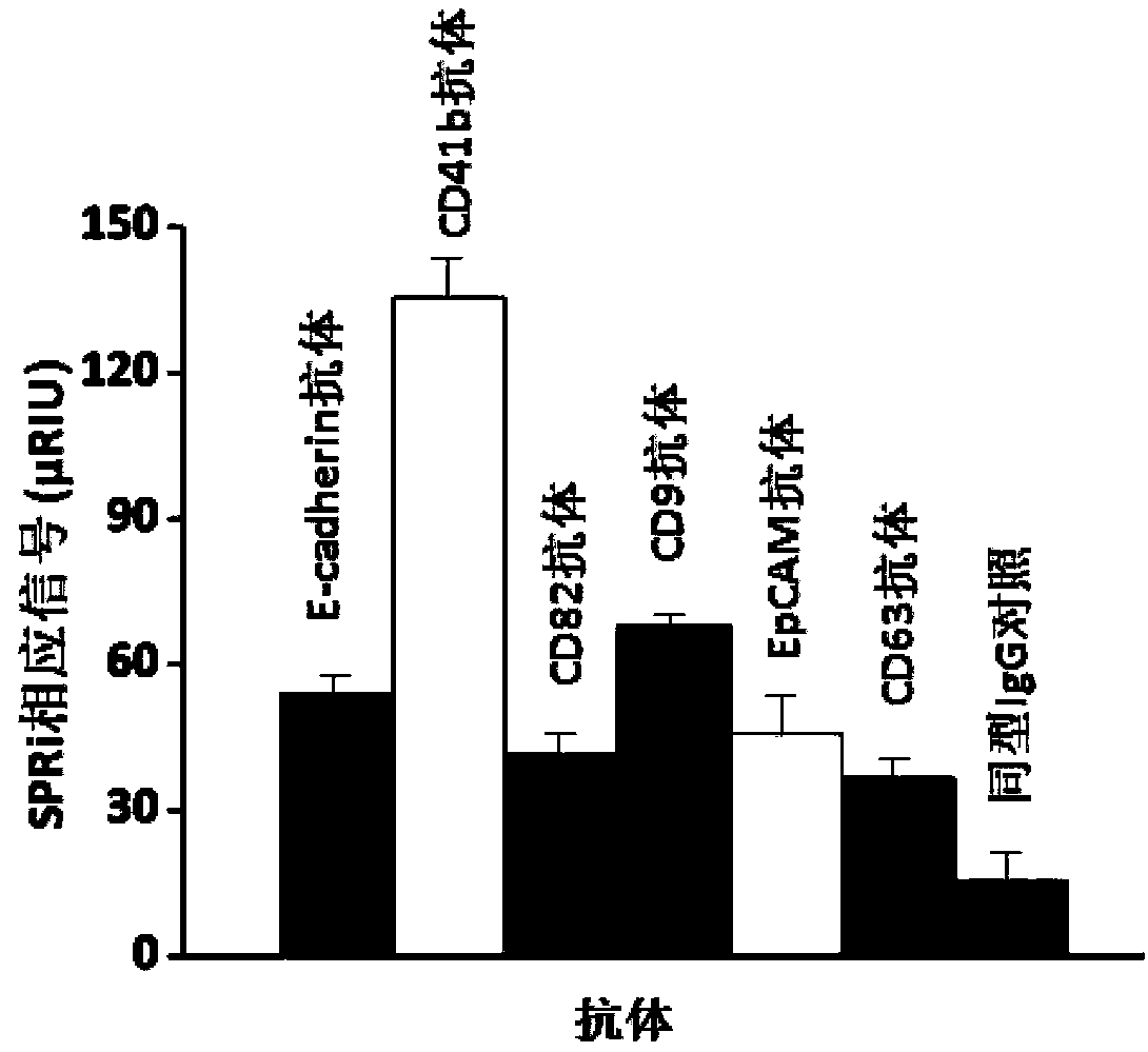 Method for detecting external capsule bodies in liquid sample