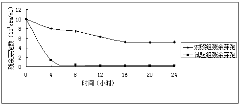 Bacillus natto preparation and application for on-site fermentation in livestock and poultry farms