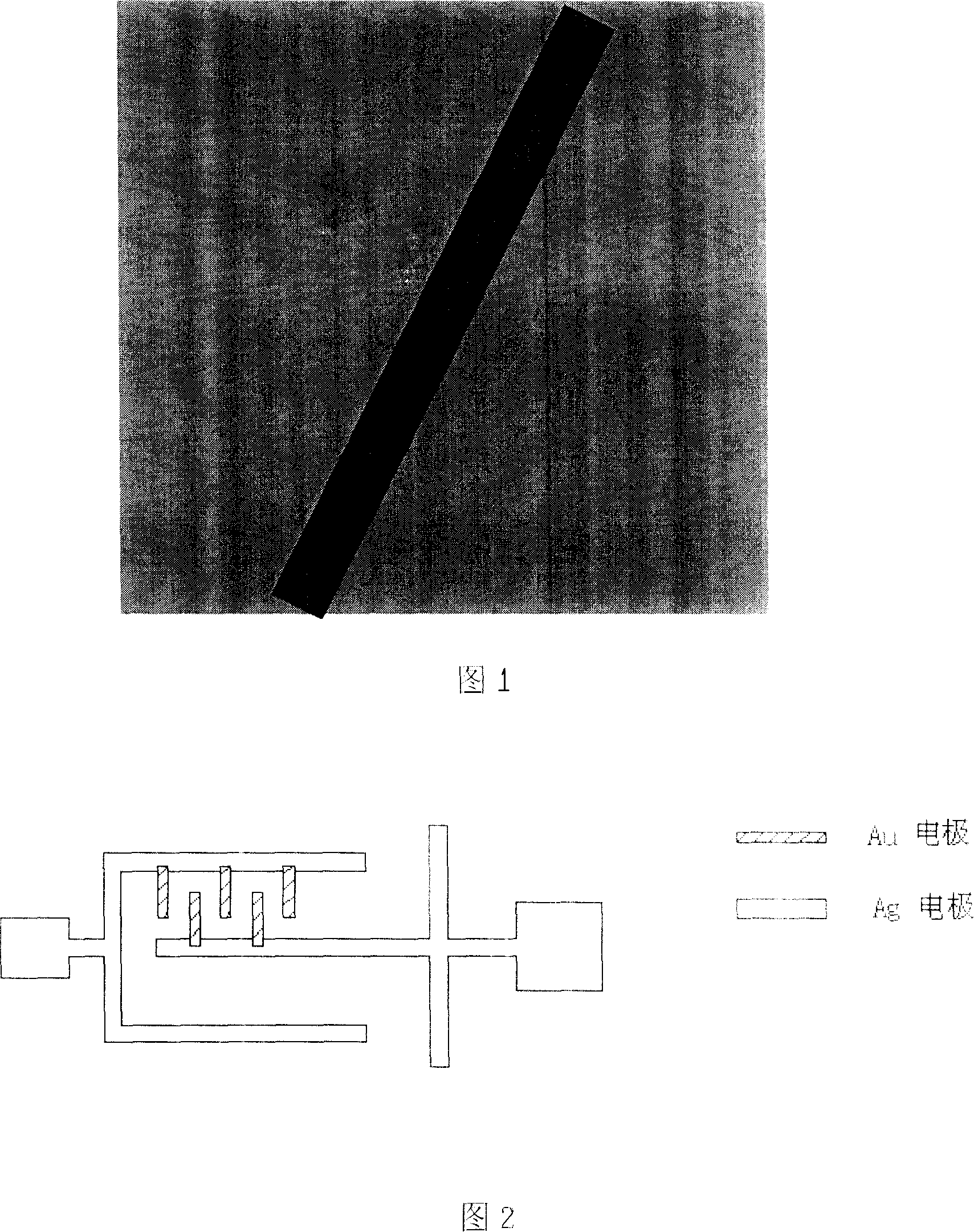 Preparation of silver nanometer electrodes