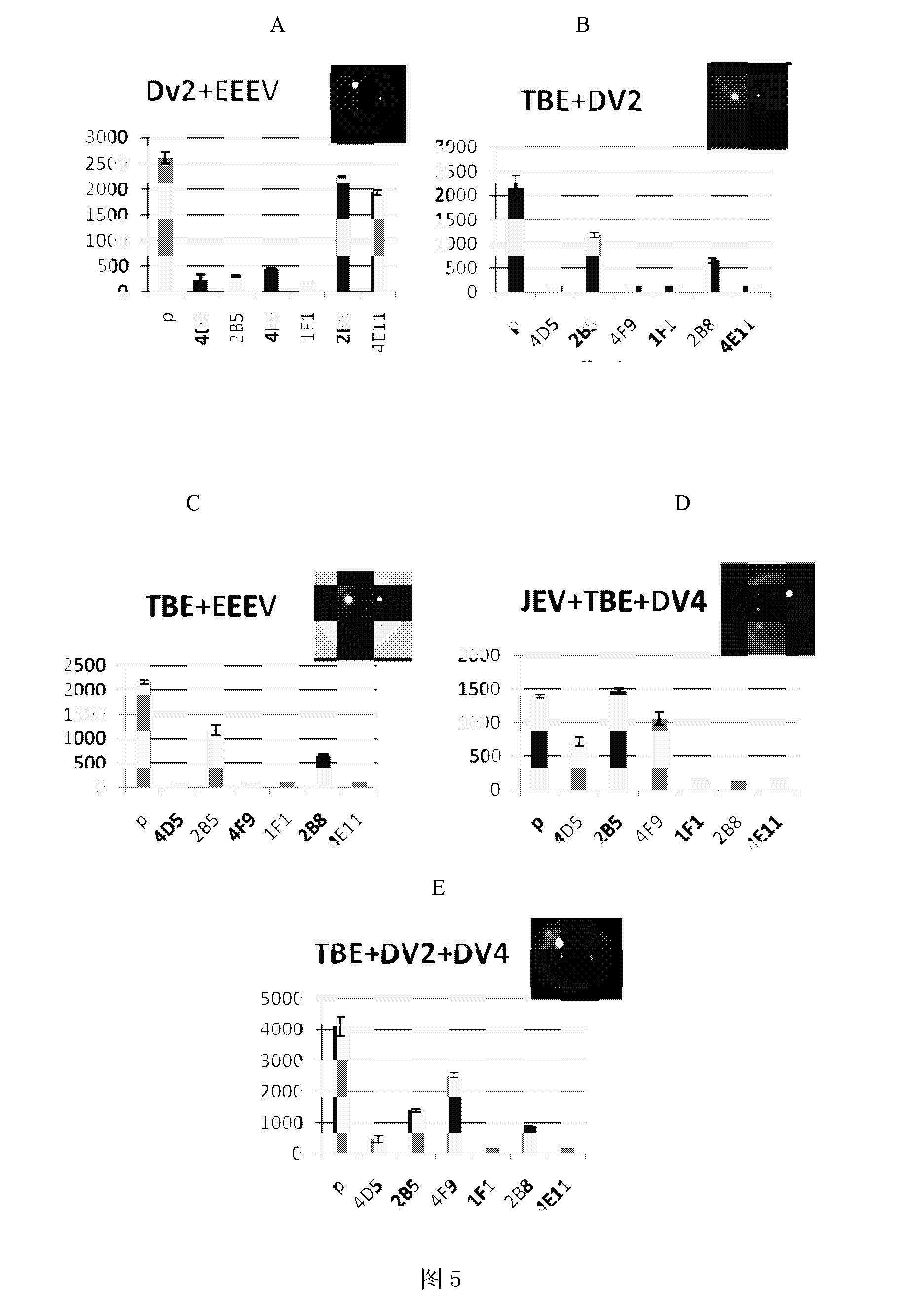 ELISA-Array method for detection of encephalitis viruses, and special kit thereof