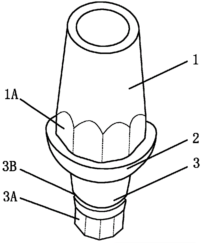 Hollow abutment capable of connecting with interior of dental implant