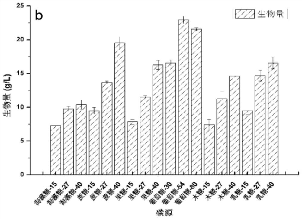 Total synthetic culture medium and method for producing rhizomucor miehei lipase by fermentation method