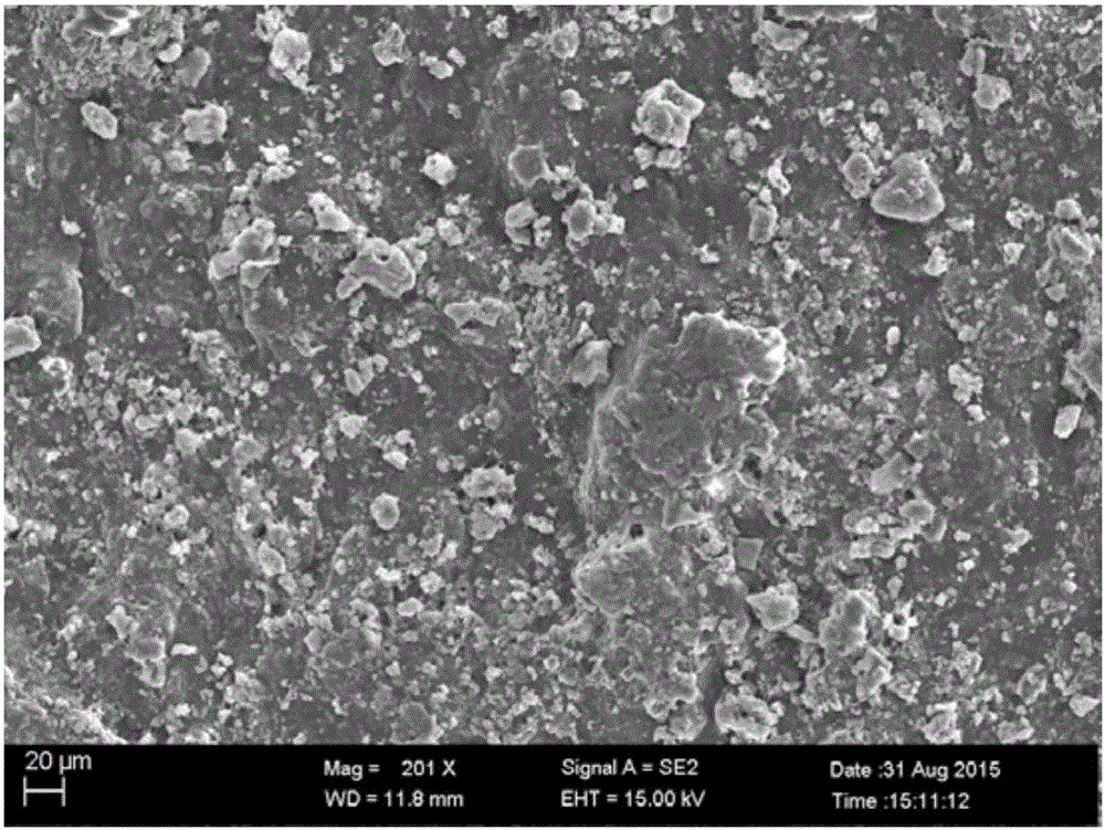 Mineralization guided tissue regeneration membrane and preparation method and application thereof