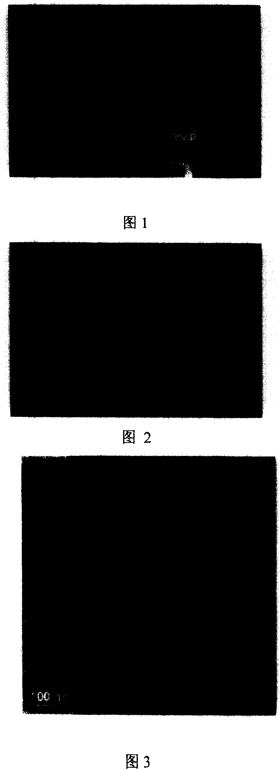 Synthetic method for porous silicon dioxide hollow micro ball