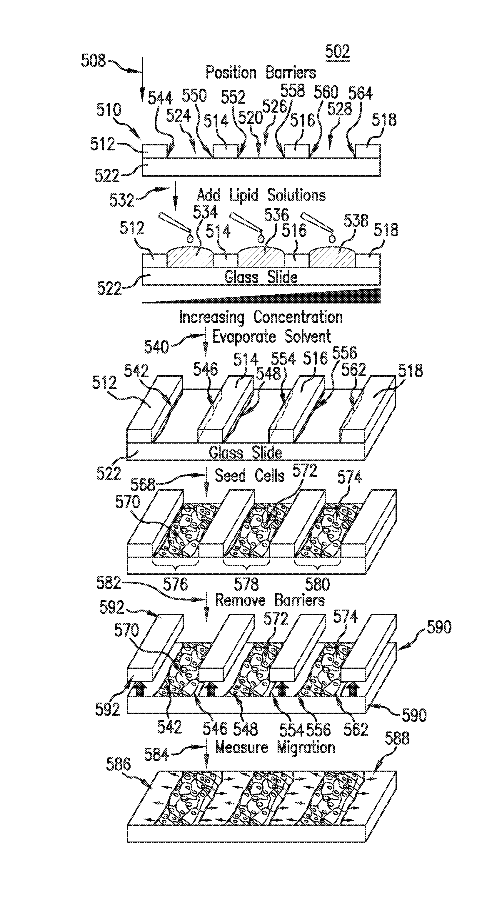 Evaporative edge lithography of a liposomal drug microarray for cell migration assays