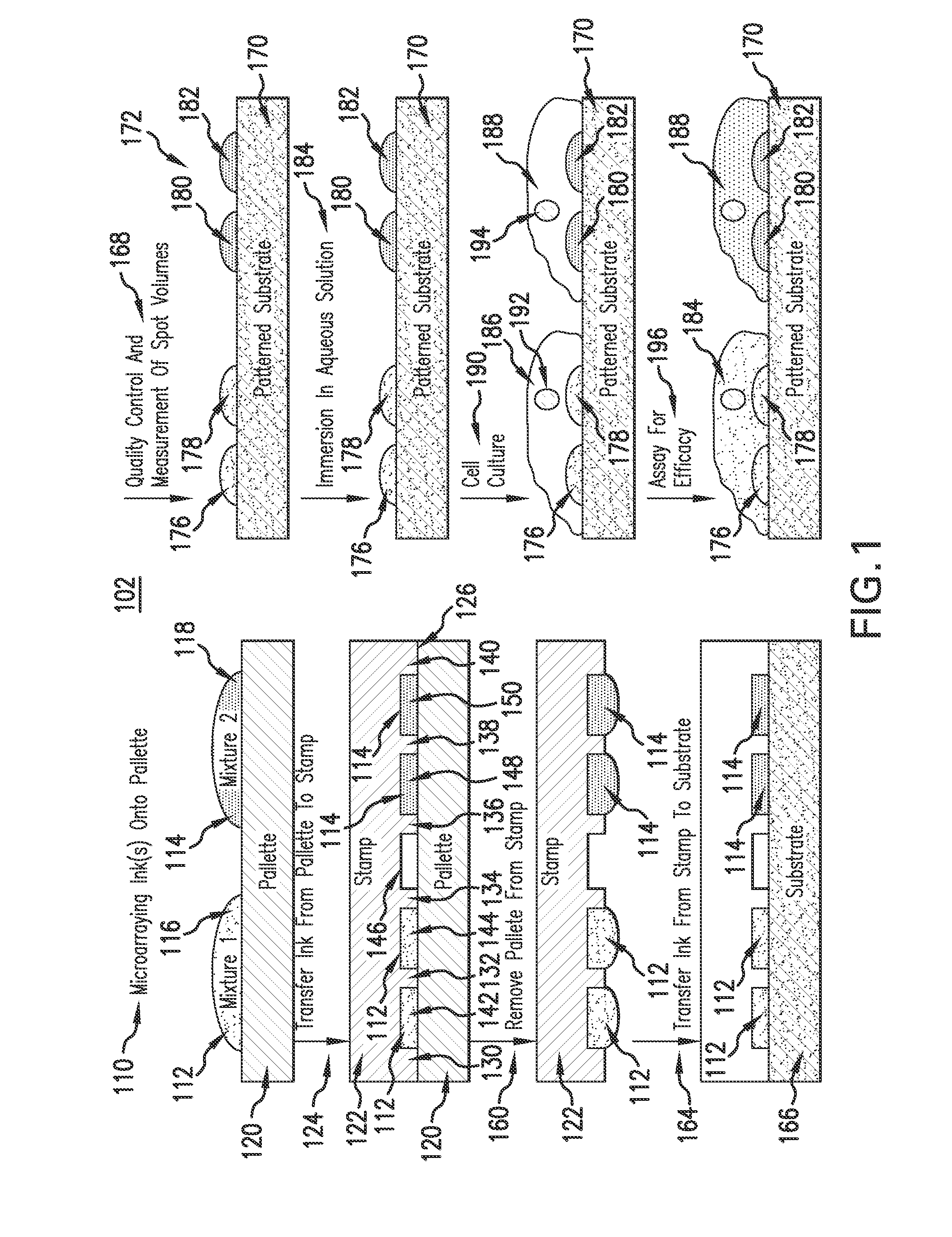 Evaporative edge lithography of a liposomal drug microarray for cell migration assays