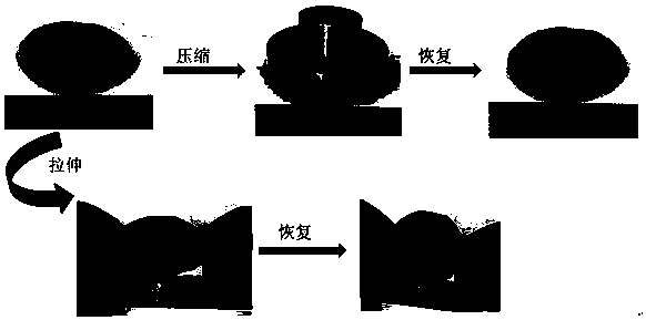 Preparation method of telescopic MXene/graphene composite aerogel with high electromagnetic shielding effect