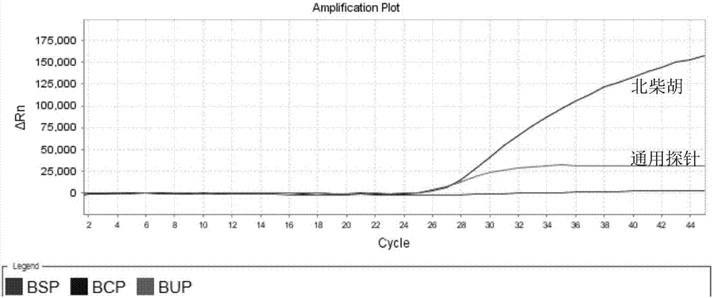 Fluorescent PCR detection primer set, probe composition, kit, detection method for simultaneous identification of bupleurum scorzonerifolium and bupleurum chinense and application