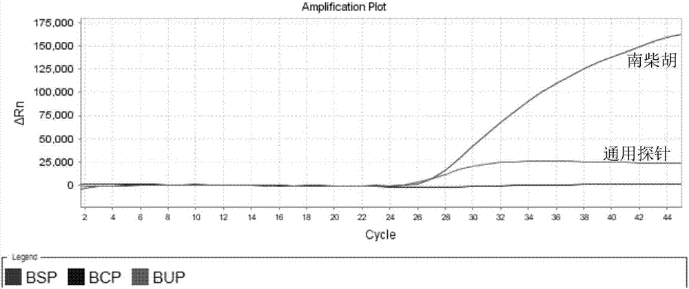 Fluorescent PCR detection primer set, probe composition, kit, detection method for simultaneous identification of bupleurum scorzonerifolium and bupleurum chinense and application