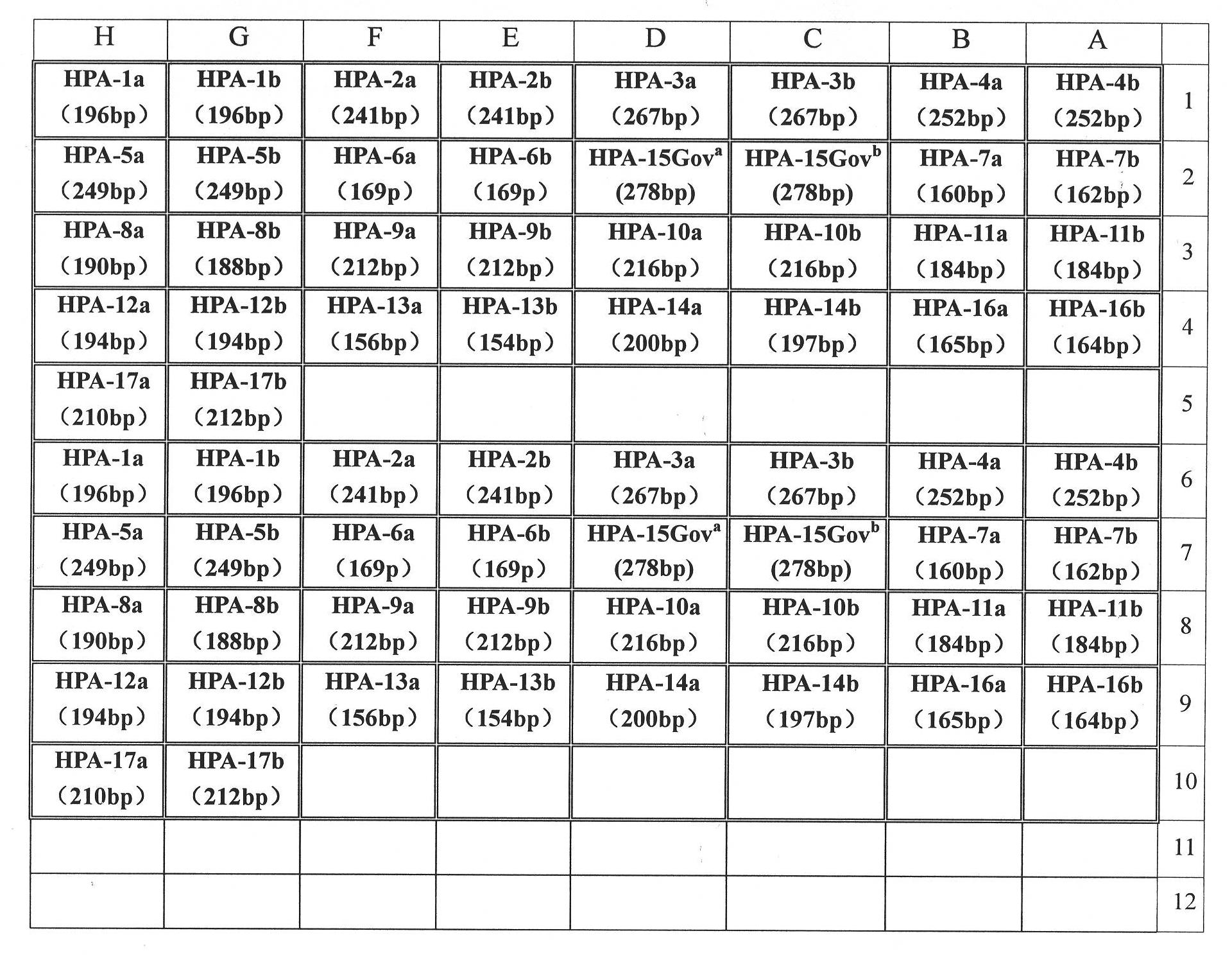 Primer group and kit for detecting human platelet alloantigen gene