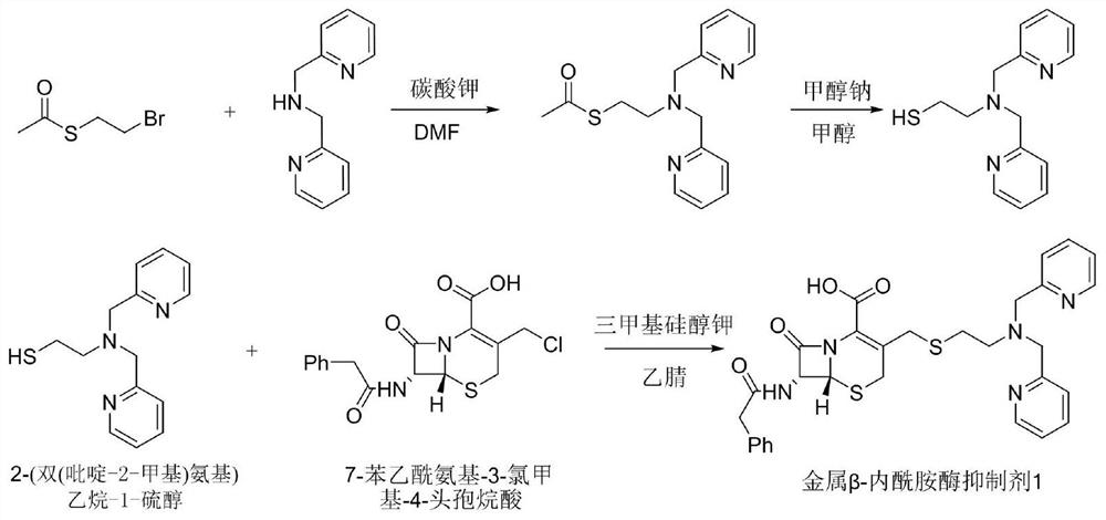 A metallo-beta-lactamase inhibitor and its preparation method and application