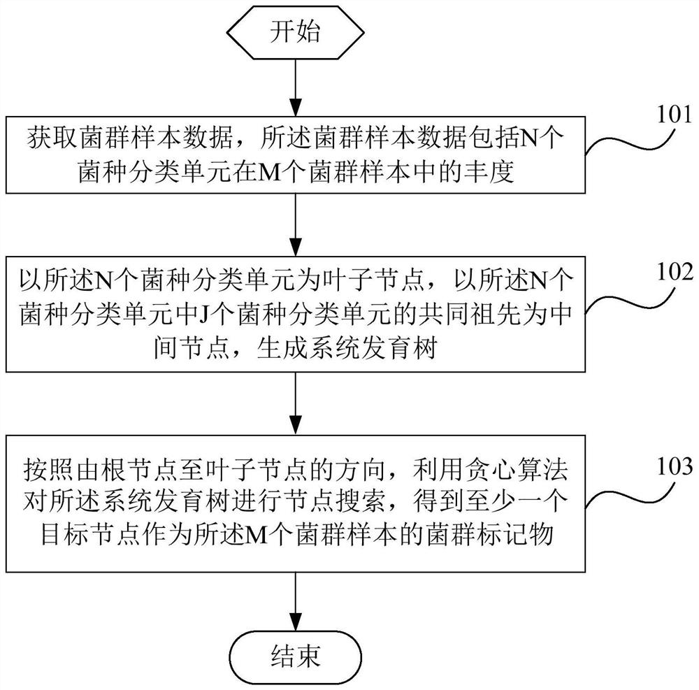 Flora marker obtaining method and device, terminal and storage medium