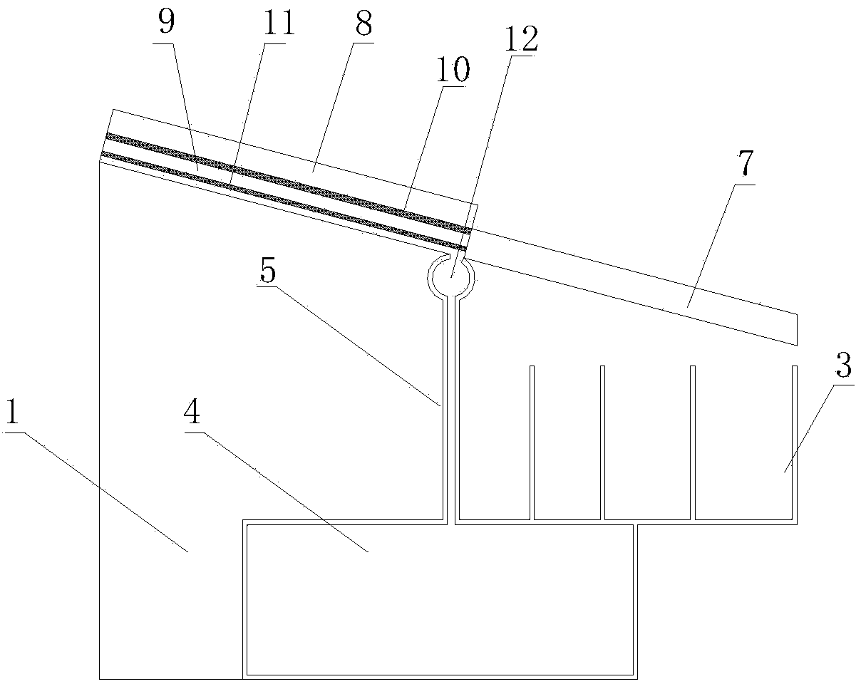 Steel ball charging device